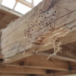 découvrez comment identifier efficacement la présence de termites dans votre charpente pour protéger votre maison des dommages structurels.