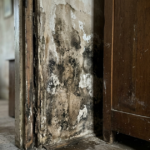 mur humide derriere meuble
