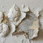 peinture cloque mur interieur