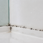 Quelle est la réelle dangerosité de la moisissure sur les joints de douche ?