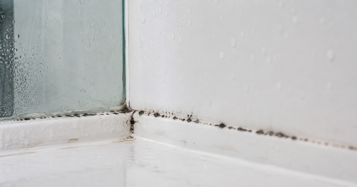Quelle est la réelle dangerosité de la moisissure sur les joints de douche ?