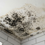 tache noire plafond salle de bain